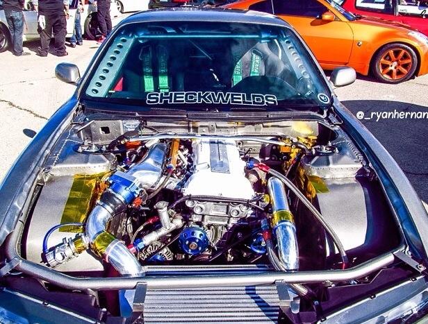 1460238_10151798154952828_1809899238_n